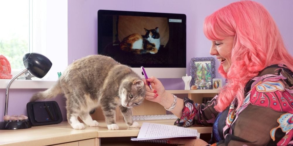 4e94cb05-fefd-411d-bc55-6b46fbde1be2